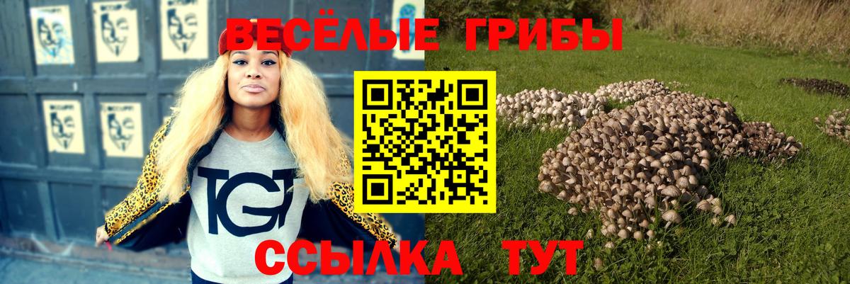 Галлюциногенные грибы GOLDEN TEACHER Ликино-Дулёво