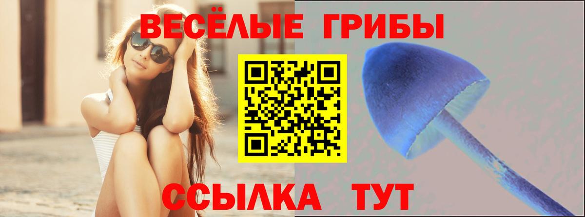 Галлюциногенные грибы GOLDEN TEACHER  Вход с VPN  Ликино-Дулёво 